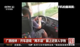 老司机视频免费观看,解锁驾驶技巧与安全驾驶秘籍