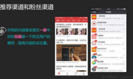 视频标题,探寻标题背后的精彩内容