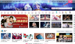 bilibili视频,揭秘幕后制作与观众共鸣